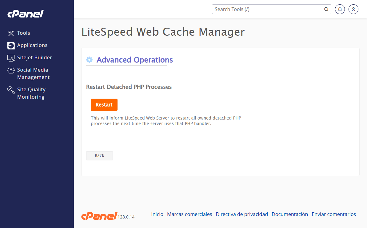 restart detached php process