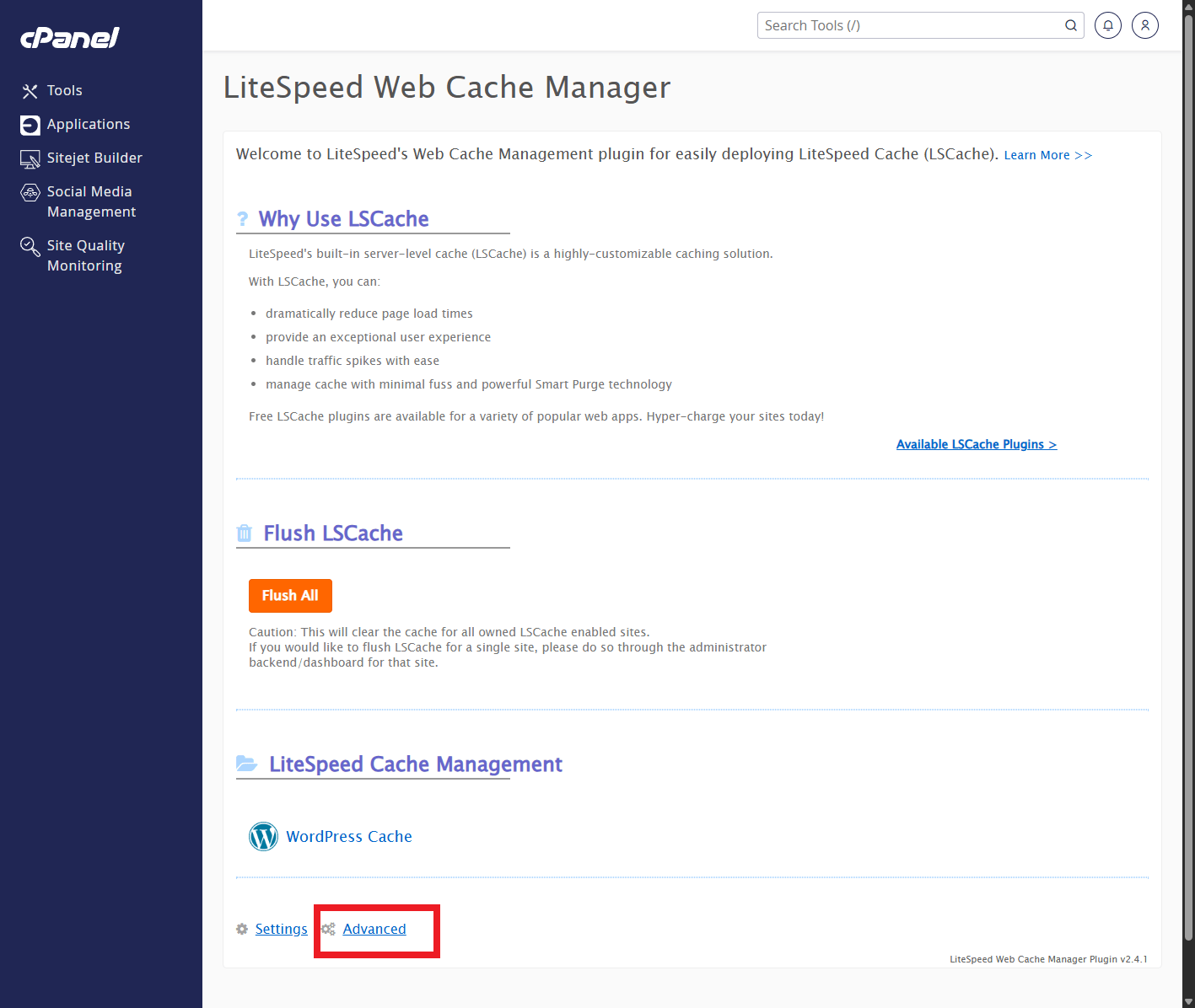 litespeed cpanel