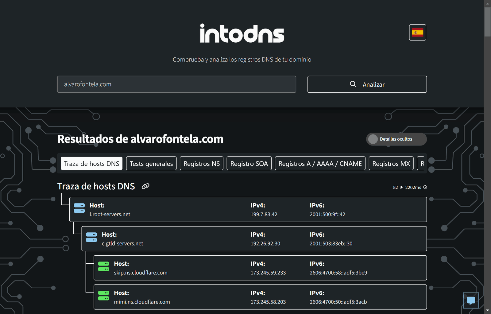 dominio intodns.io