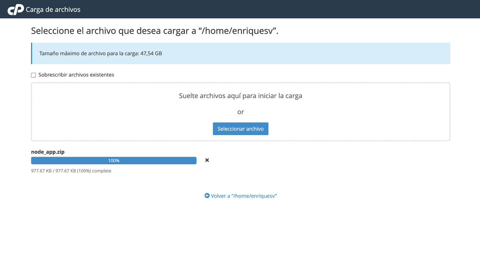 subir archivos cpanel hosting nodejs