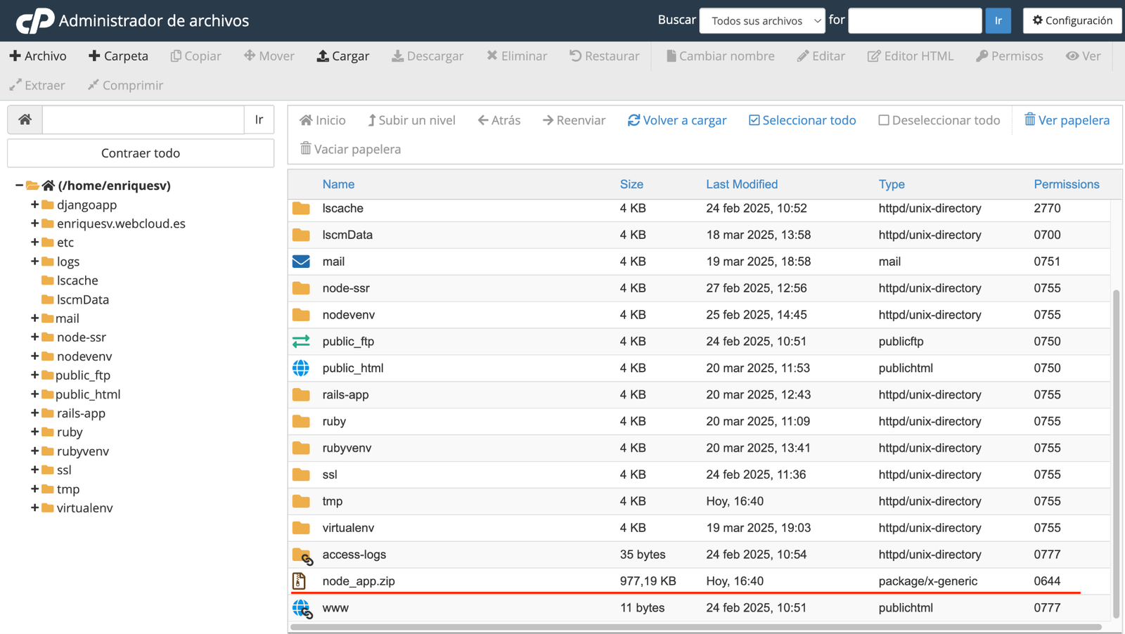 nodejs cpanel hosting file manager