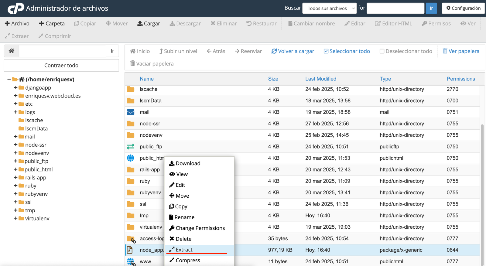 hosting cpanel nodejs