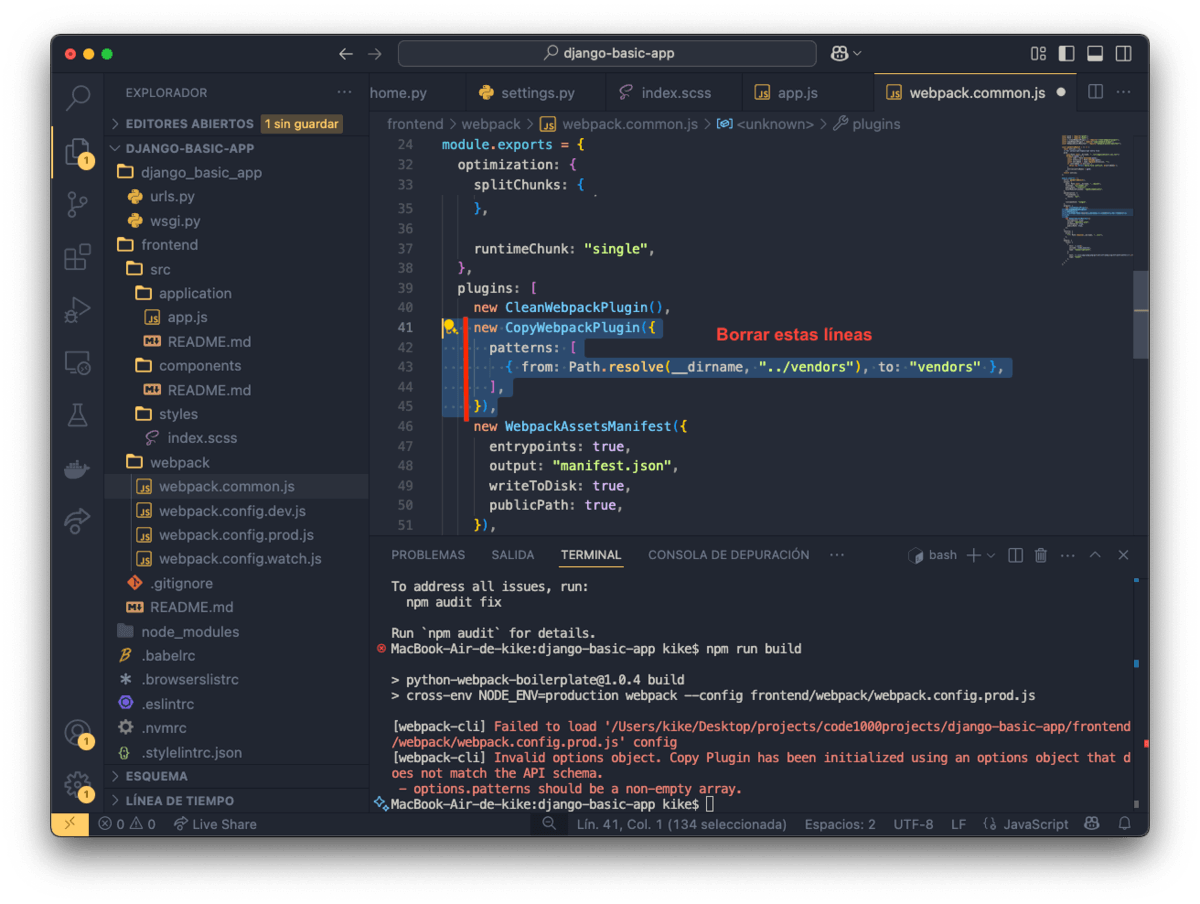 fichero `frontend/webpack/webpack.common.js`